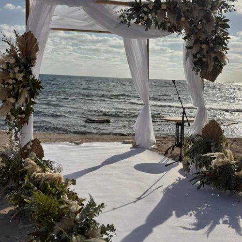 008b5d76-0829-4b8c-bdae-7e2727d37ea2