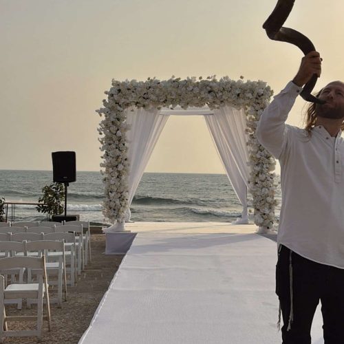 FC646B29-76D1-464D-8AE5-DB62956ECE99